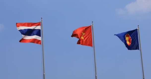 Nationale vlaggen van ASEAN-landen achter de hemel in Ho Chi Minh panning — Stockvideo