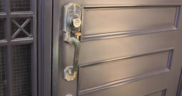 Απολύμανση πόμολου πόρτας από καθαριστή στην είσοδο — Αρχείο Βίντεο