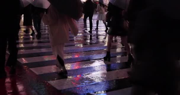 夜の雨の日には水溜りの高速撮影 — ストック動画