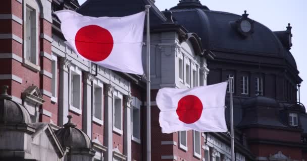 A japán nemzeti zászló nagy sebessége Tokióban — Stock videók