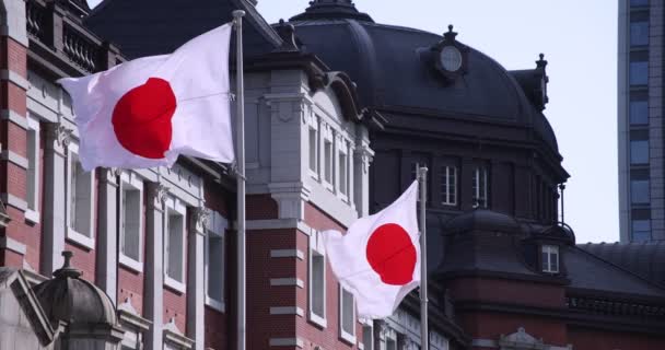 Wysoka prędkość Japońskiej Flagi Narodowej dokoła Tokio stacja — Wideo stockowe