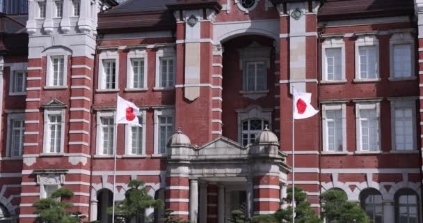 Une grande vitesse du drapeau national japonais autour de la gare de Tokyo — Video