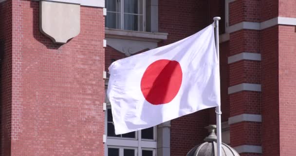 Japońska flaga narodowa wokół stacji Tokio — Wideo stockowe