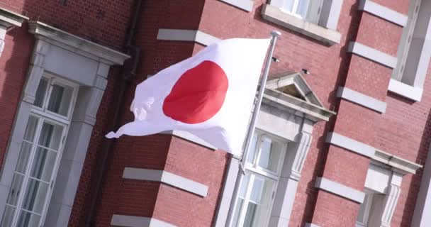 Japansk National Flag omkring Tokyo station – Stock-video