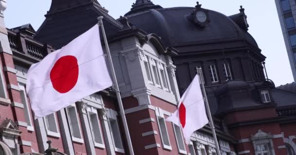 Drapeau national japonais autour de la gare de Tokyo — Video
