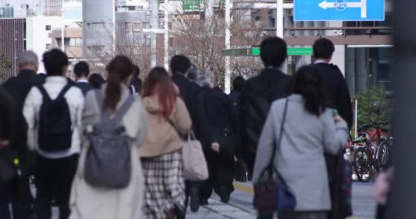 Een hoge snelheid van wandelende kantoormedewerkers in stedelijke stad in Shinjuku — Stockvideo
