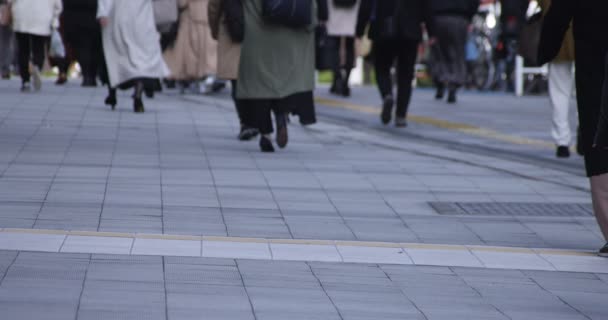 Wysoka prędkość cia ³ a czê ci spaceruj ¹ cych ludzi na miejskim mieście w Shinjuku — Wideo stockowe