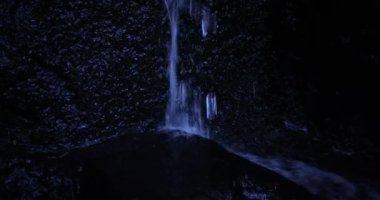 Gündüz vakti ormana yavaş bir su damlası düşüyor.