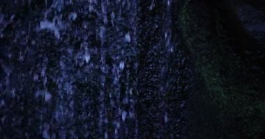 Gündüz vakti ormana yavaş bir su damlası düşüyor.