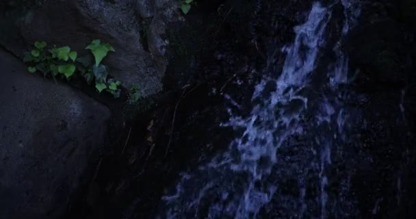 Una lenta caída de agua en el bosque durante el día — Vídeo de stock