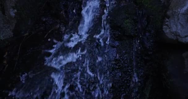 Een langzame beweging van het water vallen in het bos overdag — Stockvideo