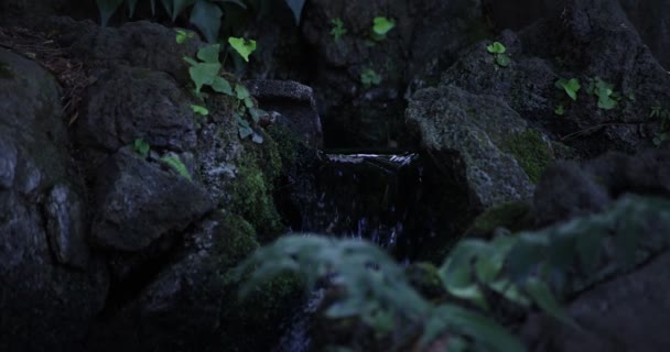 Um movimento lento de queda de água na floresta durante o dia — Vídeo de Stock