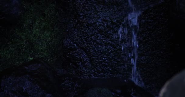 昼間の森の中のゆっくりとした滝の動き — ストック動画