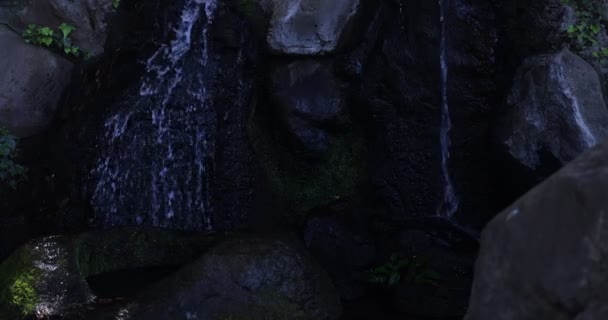 Una lenta caída de agua en el bosque durante el día — Vídeos de Stock