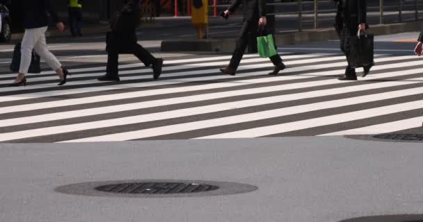 Lambat gerak tubuh bagian tubuh berjalan orang di kota perkotaan di Tokyo — Stok Video