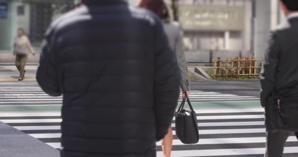 Una cámara lenta de gente caminando en la ciudad urbana de Tokio — Vídeos de Stock