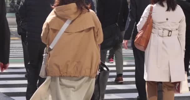 도쿄 시에서 사람들이 천천히 걷는 모습 — 비디오
