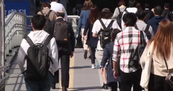 Marcher dans la ville urbaine de Shibuya — Video