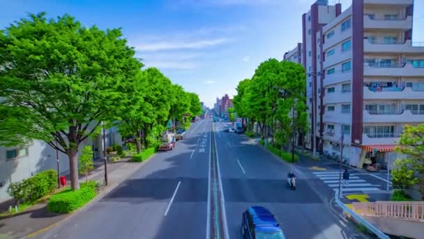 Хронология улицы в центре города на проспекте Дневной широкоформатный зум — стоковое видео