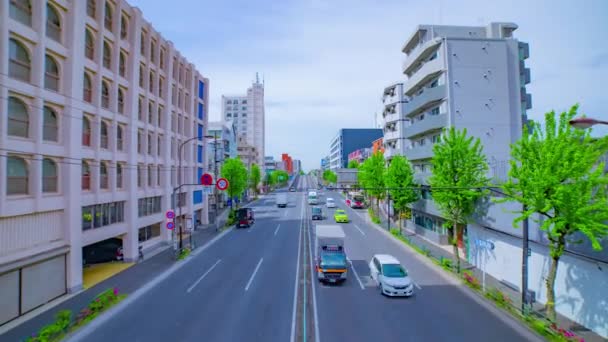 Ein Zeitraffer der Innenstadt Straße an der Allee tagsüber Breitbild-Zoom — Stockvideo