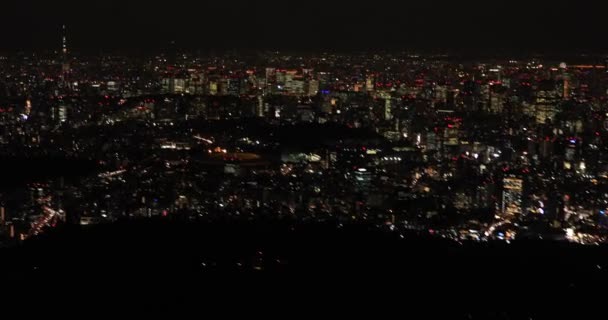 Aerial night illuminated city view in Tokyo — Stock Video