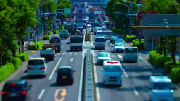 Včas miniaturní dopravní zácpa na avenue den v centru náklonu — Stock video