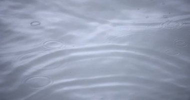 Yağmur damlalarının suya düşüşü. Yağmurlu bir gölet kapanıyor.