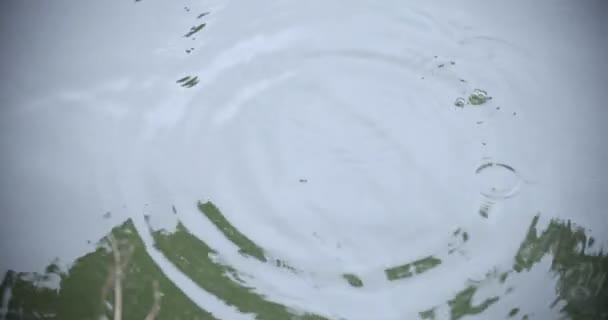 Повільний рух падіння дощу у воді ставок дощовий день крупним планом — стокове відео