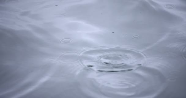 Zpomalený pohyb kapky deště ve vodě na jezírku deštivý den detailní záběr — Stock video