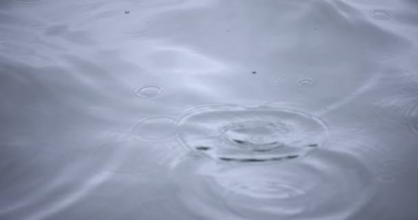 A slow motion of rain drop in the water the pond rainy day closeup — 图库视频影像