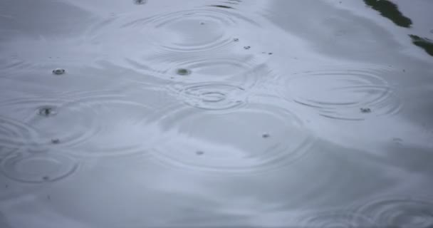 Una cámara lenta de lluvia cae en el agua el primer día lluvioso del estanque — Vídeos de Stock