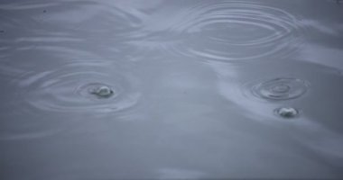 Yağmur damlalarının suya düşüşü. Yağmurlu bir gölet kapanıyor.