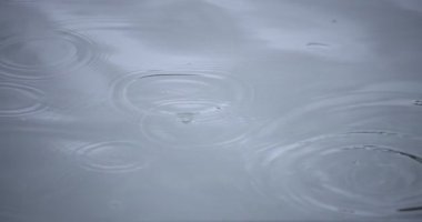 Yağmur damlalarının suya düşüşü. Yağmurlu bir gölet kapanıyor.