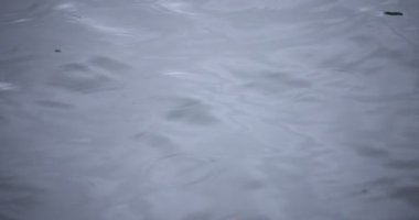 Yağmur damlalarının suya düşüşü. Yağmurlu bir gölet kapanıyor.