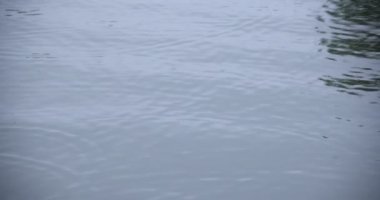 Yağmurlu bir günde suya yavaş bir yağmur damlası düşer.