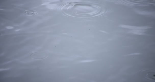 Замедленное движение капли дождя в воде пруд дождливый день крупным планом — стоковое видео