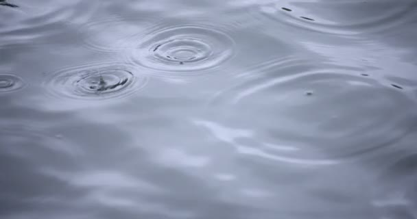 Una cámara lenta de lluvia cae en el agua el primer día lluvioso del estanque — Vídeo de stock