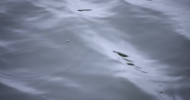 池の雨の日が閉じ水の中に雨のドロップの遅い動き — ストック動画