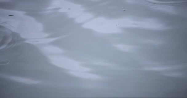 Una cámara lenta de lluvia cae en el agua el primer día lluvioso del estanque — Vídeos de Stock