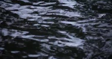 Yağmur damlalarının suya düşüşü. Yağmurlu bir gölet kapanıyor.