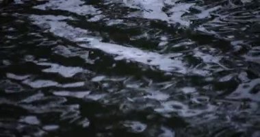 Yağmur damlalarının suya düşüşü. Yağmurlu bir gölet kapanıyor.