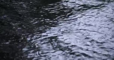 Yağmur damlalarının suya düşüşü. Yağmurlu bir gölet kapanıyor.