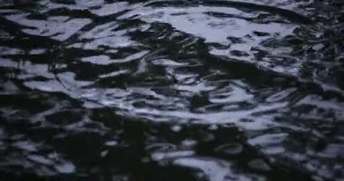 Yağmur damlalarının suya düşüşü. Yağmurlu bir gölet kapanıyor.