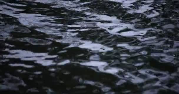 Um movimento lento de queda de chuva na água a lagoa dia chuvoso closeup — Vídeo de Stock