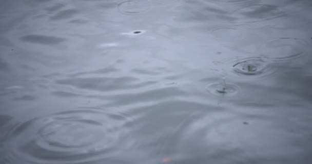 Un lent mouvement de chute de pluie dans l'eau l'étang jour de pluie gros plan — Video