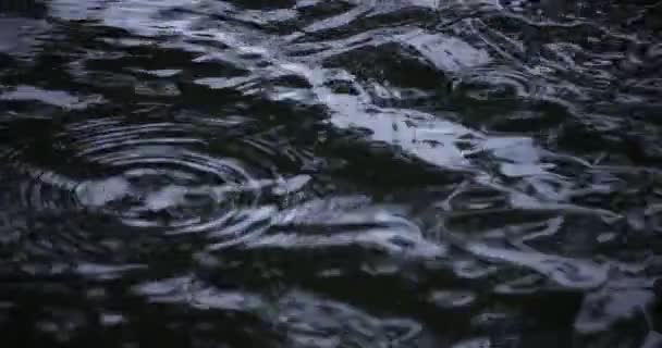 Un lent mouvement de chute de pluie dans l'eau l'étang jour de pluie gros plan — Video