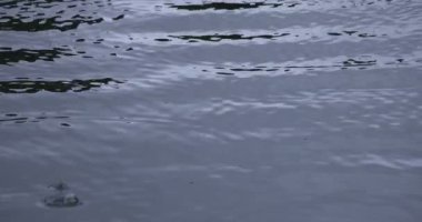 Yağmurlu bir günde suya yavaş bir yağmur damlası düşer.