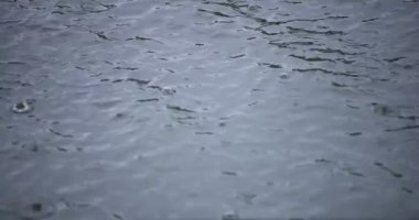 Yağmur damlalarının suya düşüşü. Yağmurlu bir gölet kapanıyor.