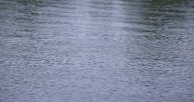 Yağmurlu bir günde suya yavaş bir yağmur damlası düşer.