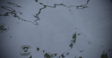 Yağmur damlalarının suya düşüşü. Yağmurlu bir gölet kapanıyor.